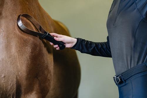 Show full view: Equi-Essentials Comfort-Grip Horse Shedding Blade, Black slide 3 of 6
