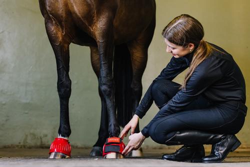 Show full view: Centaur PVC HL Rib Horse Bell Boot, Red, X-Large slide 4 of 5