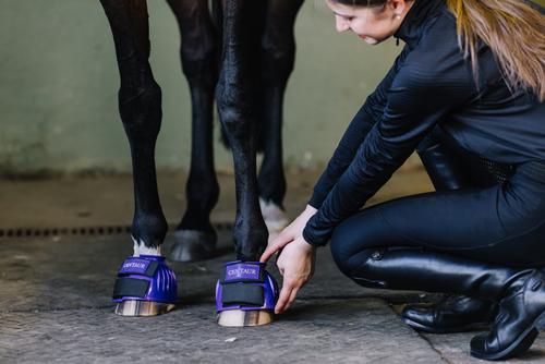 Show full view: Centaur PVC HL Rib Horse Bell Boot, Purple, Large slide 3 of 5