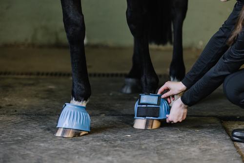 Show full view: Centaur PVC HL Rib Horse Bell Boot, Light Blue, X-Large slide 4 of 5
