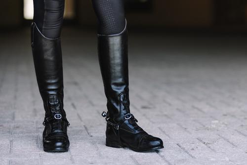 Show full view: Centaur Soft Touch Roller Ladies Spur, 1 1/4-in slide 5 of 6