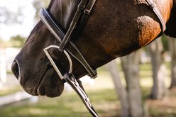 Camelot Fancy Raised Horse Bridle, Brown, Cob slide 2 of 3
