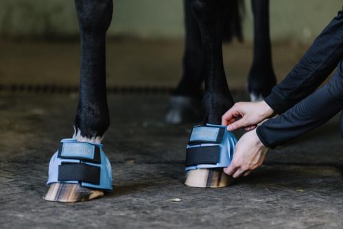 Show full view: Centaur PVC HL Rib Horse Bell Boot, Light Blue, X-Large slide 3 of 5