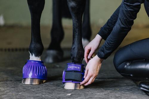 Show full view: Centaur PVC HL Rib Horse Bell Boot, Purple, Large slide 4 of 5