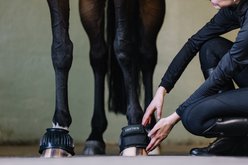 Centaur PVC HL Rib Horse Bell Boot, Black, Medium slide 2 of 6