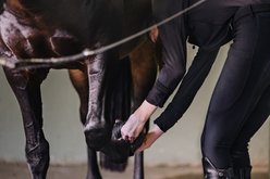 Centaur ECO Thick Rib Horse Bell Boots, Black, Medium slide 2 of 6