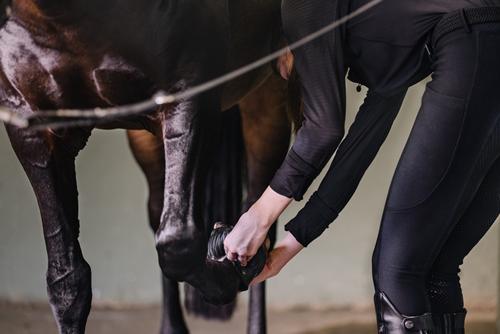 Show full view: Centaur ECO Thick Rib Horse Bell Boots, Black, X-Large slide 6 of 7