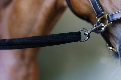 Show full view: Equi-Essentials EQ Poly Padded Cross Adjustable Horse Tie Set, Black, 36 to 72-in slide 3 of 4