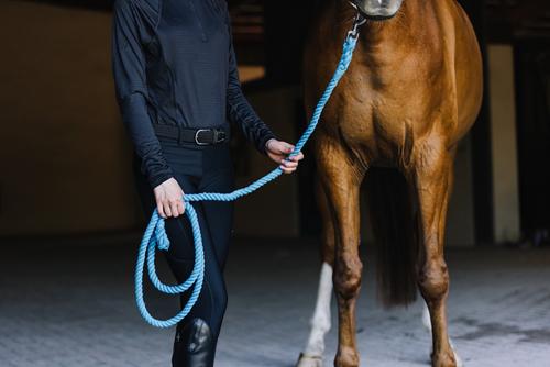 Show full view: Equi-Essentials 3-Ply Cotton Horse Lead with Chrome Plated Snap, 8-ft, Turquoise slide 5 of 5