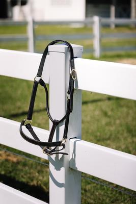 Show full view: Camelot Leather Stable Horse Halter, Brown, Pony slide 4 of 6