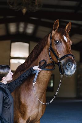 Show full view: Camelot Leather Horse Lead with Chain, Brown, 30-in slide 5 of 7