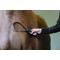 Show in main carousel: Equi-Essentials Comfort-Grip Horse Shedding Blade, Black slide 4 of 6