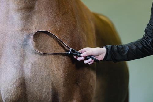 Show full view: Equi-Essentials Comfort-Grip Horse Shedding Blade, Black slide 4 of 6