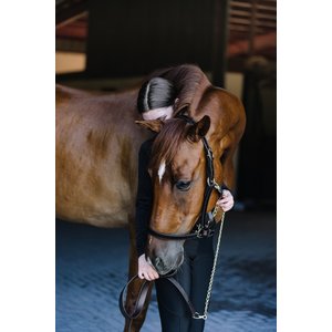 Camelot Leather Horse Lead with Chain, Brown, 30-in
