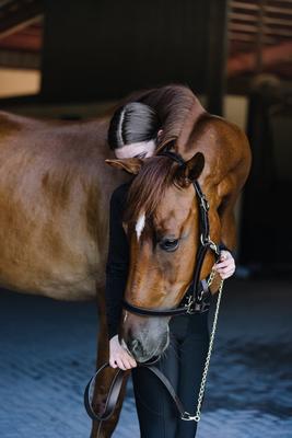 Show full view: Camelot Leather Horse Lead with Chain, Brown, 30-in slide 7 of 7