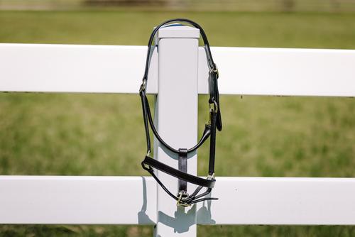 Show full view: Camelot Leather Stable Horse Halter, Brown, Pony slide 6 of 6