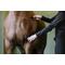 Show in main carousel: Equi-Essentials Comfort-Grip Horse Shedding Blade, Black slide 5 of 6