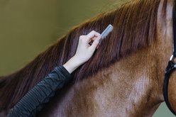Equi-Essentials Aluminum Pulling Horse Comb slide 2 of 2