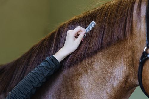 Show full view: Equi-Essentials Aluminum Pulling Horse Comb slide 2 of 2