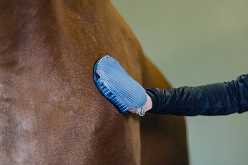 Show full view: Equi-Essentials ECO Jelly Glitter Horse Scrubber, Blue slide 3 of 4
