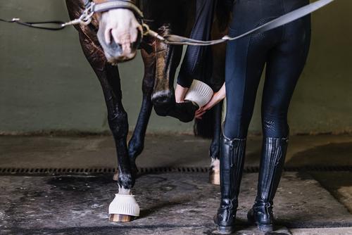 Show full view: Centaur ECO Thick Rib Horse Bell Boots, White, XX-Large slide 3 of 6