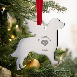 Thumbies Stainless Custom Pet Nose Print Dog Ornament, Silver slide 2 of 2