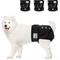 Show in main carousel: SlowTon Washable Female Dog Diapers, Black, 3 count, Large: 19-in to 26-in waist slide 1 of 9
