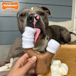 Nylabone Strong Toasted Marshmallow Stick & Peanut Butter Flavor Tough Dog Chew Toy, Brown, Large/Giant slide 2 of 8