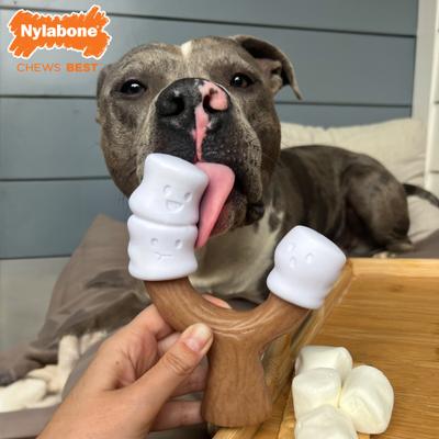 Show full view: Nylabone Strong Toasted Marshmallow Stick & Peanut Butter Flavor Tough Dog Chew Toy, Brown, Large/Giant slide 3 of 12