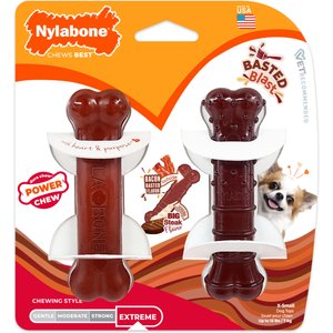 Nylabone Power Chew Basted Blast Dual Flavored Dog Chew Toys, X-Small