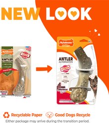 Nylabone Antler Alternative Power Chew Dog Toy, Venison, Large slide 2 of 9