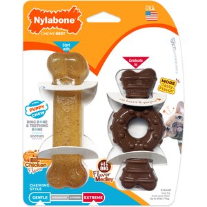 Nylabone Just for Puppies Teething Chew Ring Flavor Medley & Chicken Dog Bone, X-Small, 2 count