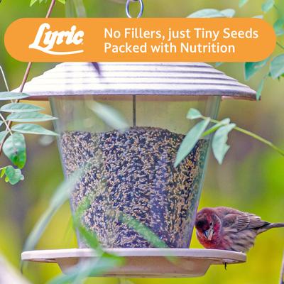 Show full view: Lyric Finch Small Songbird Wild Bird Food, 20-lb bag slide 9 of 11