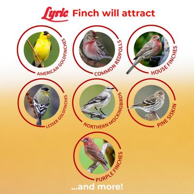 Show full view: Lyric Finch Small Songbird Wild Bird Food, 20-lb bag slide 5 of 11