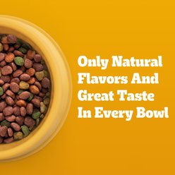 Pedigree Complete Nutrition Grilled Steak & Vegetable Flavor Dog Kibble Adult Dry Dog Food, 20-lb bag slide 2 of 9