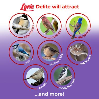 Show full view: Lyric Delite High Protein No Waste Mix Wild Bird Food, 5-lb bag slide 5 of 11