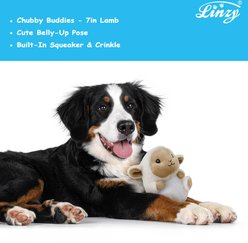 Linzy Toys Chubby Buddies Lamb Squeaky Plush Dog Toy, Beige, 7-in slide 2 of 6