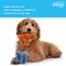 Show in main carousel: Linzy Toys Dino Squeaky Plush Dog Toy, 7-in, 2 count, Orange/Blue slide 4 of 5