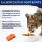 Show in main carousel: DANFISK Salmon Oil Skin & Coat Supplement for Dogs & Cats, 16-oz slide 8 of 8