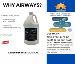 ORTHO EQUINE Airways Respiratory Liquid Supplement for Horse, 32-oz slide 2 of 2