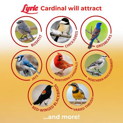Show full view: Lyric Cardinal Premium Sunflower & Safflower Mix Wild Bird Food, 3.75-lb bag slide 5 of 10