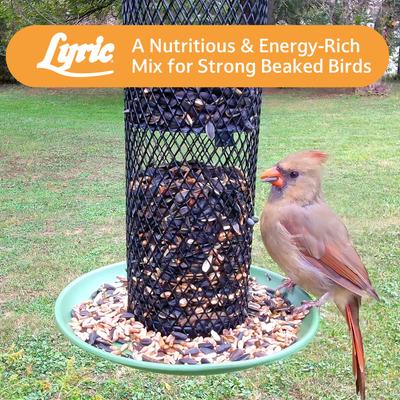 Show full view: Lyric Cardinal Premium Sunflower & Safflower Mix Wild Bird Food, 3.75-lb bag slide 9 of 10