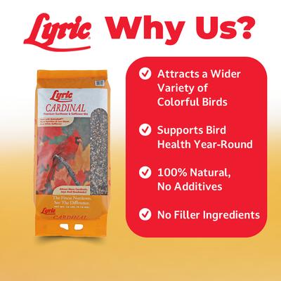 Show full view: Lyric Cardinal Premium Sunflower & Safflower Mix Wild Bird Food, 3.75-lb bag slide 3 of 10