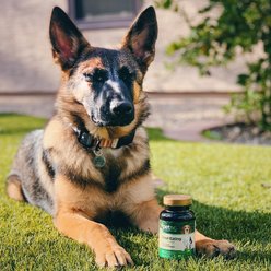 petnc Stool Eating Deterrent Coprophagia Chewable Tabet Supplement for Dogs, 60 count slide 2 of 8