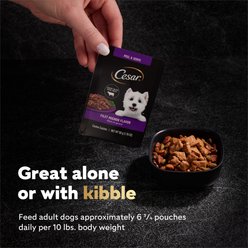 Cesar Filets in Gravy Porterhouse Steak Flavor Wet Dog Food, 1.76-oz pouch, case of 20 slide 2 of 9