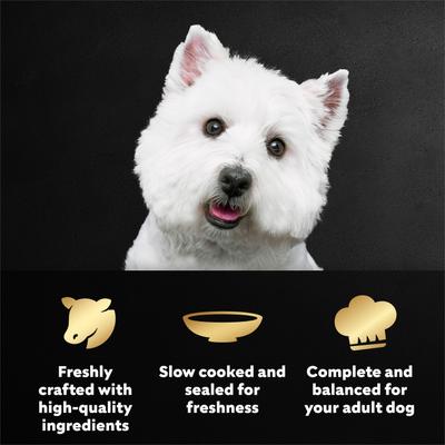 Show full view: Cesar Filets in Gravy Angus Beef Flavor Wet Dog Food, 1.76-oz pouch, case of 20 slide 5 of 10