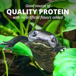 Tetra ReptoMin Floating Sticks Turtle & Amphibian Food, 1.98-lb bucket