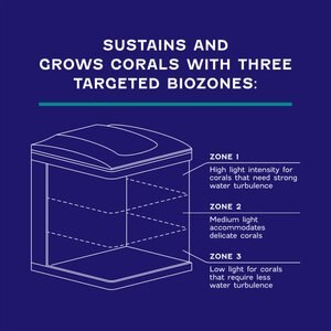 Coralife Silicone SMART BioCube Jr. Aquarium Starter Kit, 14-gal