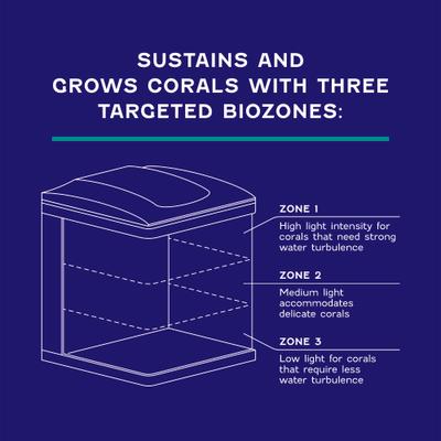 Show full view: Coralife Silicone SMART BioCube Jr. Aquarium Starter Kit, 14-gal slide 7 of 12