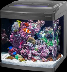 Coralife Silicone SMART BioCube Jr. Aquarium Starter Kit, 14-gal